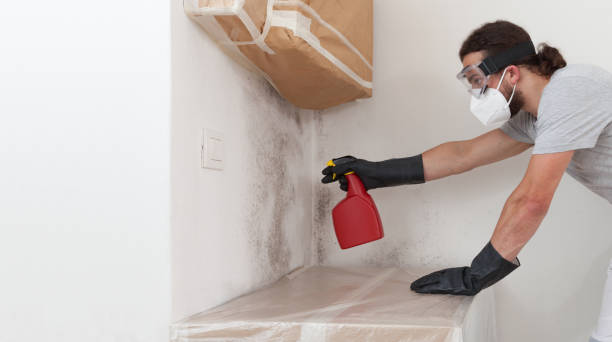 Professional Basement Mold Remediation technician working in Saratoga, NC
