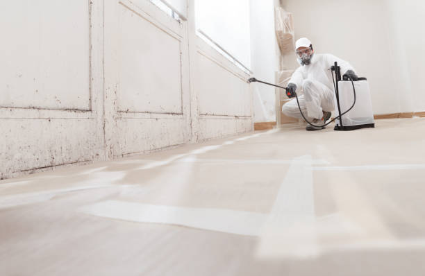 24/7 Emergency Basement Mold Remediation experts in Saratoga, NC