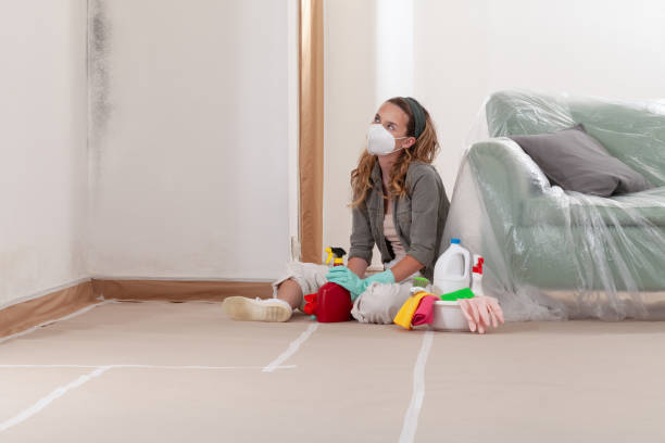 Reliable Basement Mold Remediation contractor in Saratoga, NC by 24 Hour Mold Removal